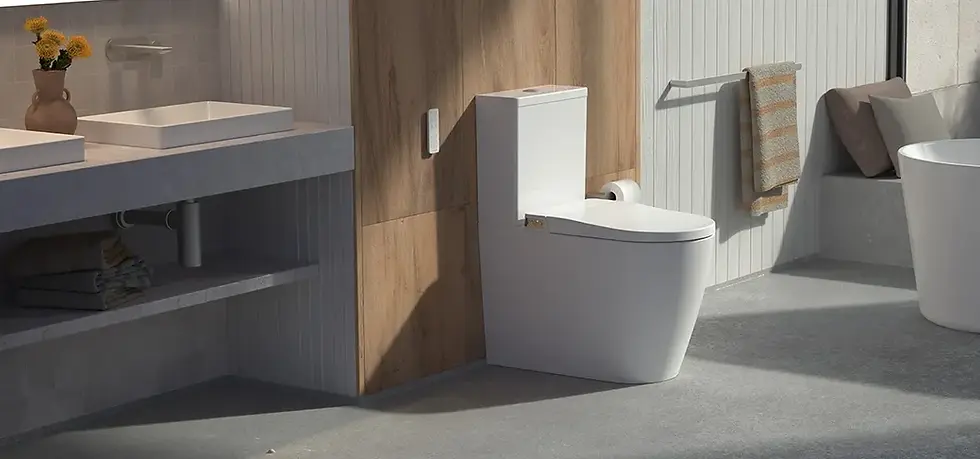 Caroma toilet and vanity in a modern bathroom