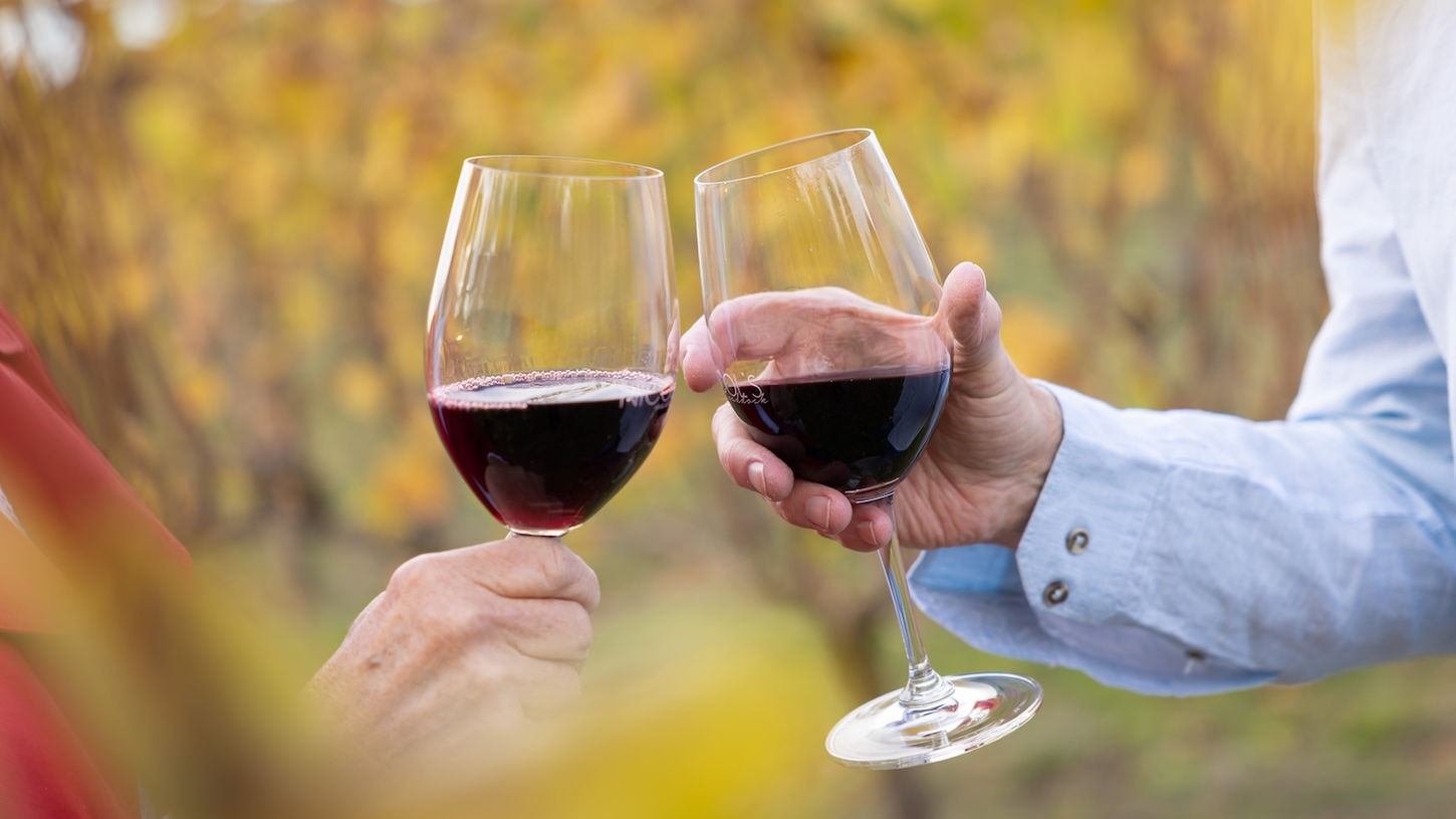 Two hands clinking glasses of red wine in a vineyard setting with autumn foliage