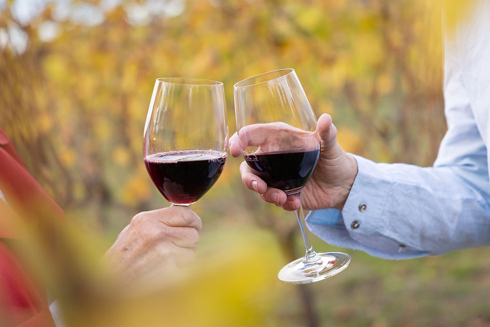 Two people toasting with red wine glasses in an autumn vineyard