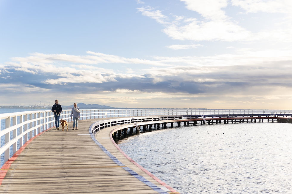 Couple walking with a dog along a curved coastal boardwalk pier